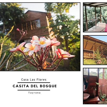 Вилла La Casita Del Bosque Санта-Марта Экстерьер фото