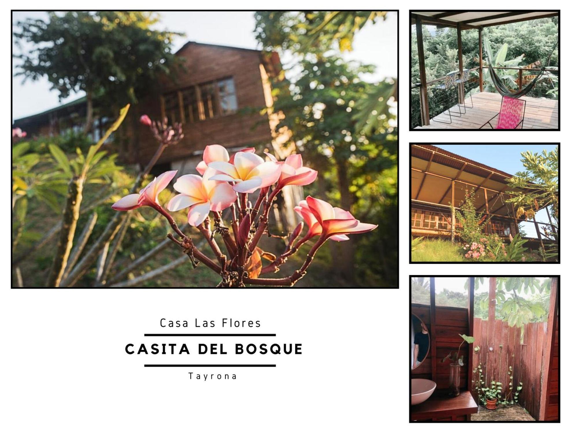 Вилла La Casita Del Bosque Санта-Марта Экстерьер фото